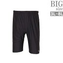 水着 スイムパンツ 大きいサイズ BIGサイズ スイミングパンツ 無地 ストレッチ フィット CR300402-07
