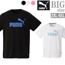 プーマ トレーニングウェア 半袖 PUMA プーマ 大きいサイズ メンズ ブランド Tシャツ ロゴプリント C020416-09