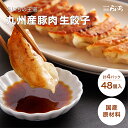 【お店で 手作り】生餃子 九州産豚肉 餃子 48個 12個×4 送料無料 一口餃子 山口県 ブランド 国産野菜 国内製造 こだわりの 化学調味料 不使用 合成保...