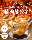 九州産豚肉 餃子 96個 12個×8 送料無料 一口餃子 山口県 ブランド 国産野菜 国内製造 こだわりの 化学調味料 不使用 合成保存料 無添加 生餃子 ギフト プレゼント ギョーザ ぎょうざ ギョウザ おかず お弁当 冷凍食品 お取り寄せ パーティー 父の日 3