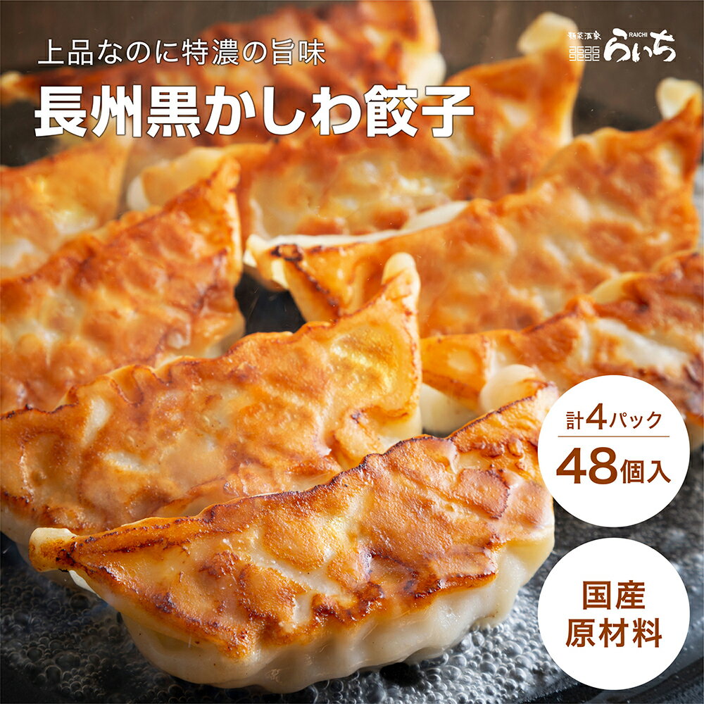 長州黒かしわ 餃子 48個 地鶏 鶏餃子 12個×4 送料無料 一口餃子 山口県 ブランド 国産野菜 国内製造 こだわりの 化学調味料 不使用 合成保存料 無添加 生餃子 ギフト プレゼント ギョーザ ぎょうざ ギョウザ おかず お弁当 冷凍食品 お取り寄せ パーティー