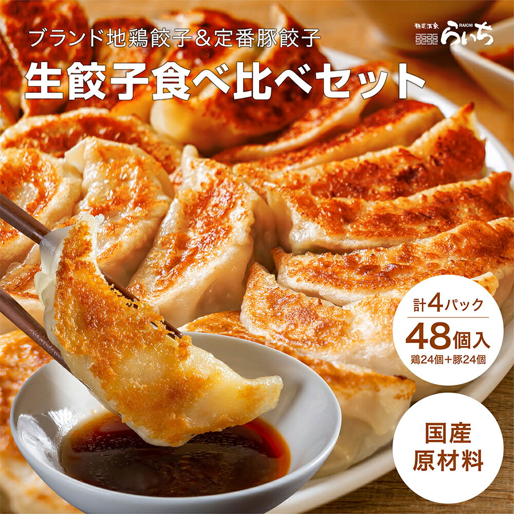 餃子食べ比べセット 48個 (長州黒かしわ餃子24個+豚餃子24個) 送料無料 山口県ブランド地鶏 九州産豚肉 国産野菜 一口餃子 冷凍 化学調味料不使用 化学調味料無添加 生餃子 地鶏 国産 ぎょうざ おかず お弁当 冷凍食品 餃子