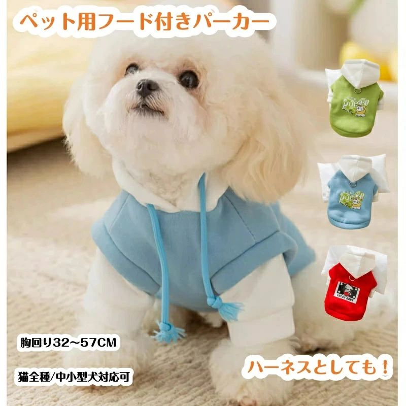 �դ�դ� �⥳�⥳ ���襤�� �İ��� ���Ф����������� ������ ����������� ǭ�� �Ҹ� ������ǽ �����к� �ɴ� �ڥå����� ǭ�� ���淿���� �Ȥ��� ���餫...