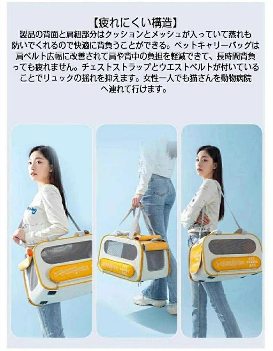ハヤブサ1のペットキャリー ショルダーバッグ ペット キャリーバック 通院 折りたたみ ペット 電車 ペットキャリーバッグ ネコ 4面メッシュ｜アングル3