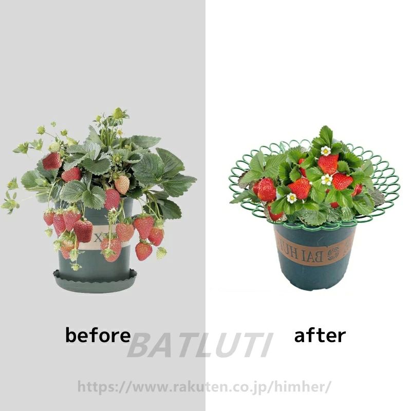 ������ �ʥ� �ȥޥ� ������ ��ݻ��� �٤�ê ����ê ����ê ��ñ����Ω �ץ饹���å��� ��ʪ�٤� 15�ĥ��å� �������ץ�󥿡�ê