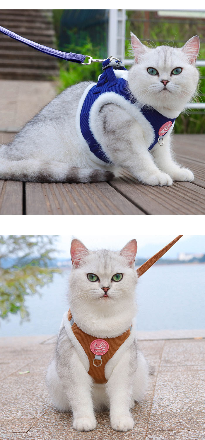 脱走防止 通院 散歩 お出かけ 小型犬 子猫 超小型犬 簡単脱着式 おしゃれ 軽量 可愛い 胴輪 つけやすい 災害 リード ハーネスリードセット 抜けない リードつき 猫用 ハーネス 猫 3