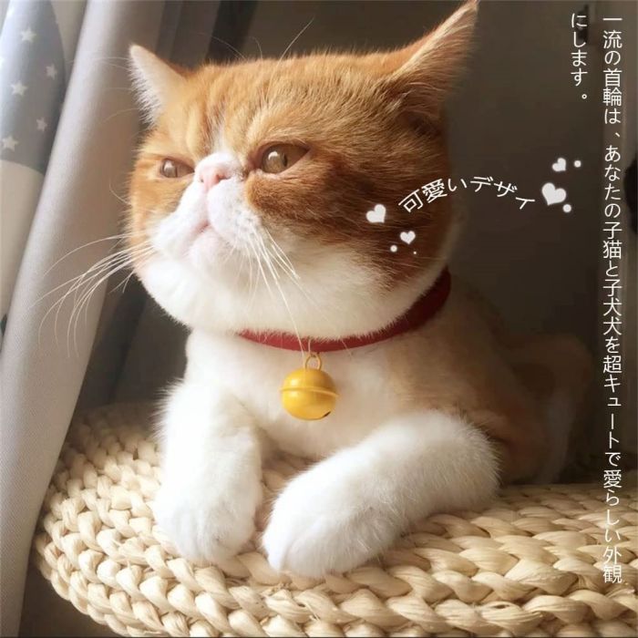 猫首輪 ペット かわいい 調節可能 鈴付き 猫首輪 セーフティバックル式 猫用首輪 ...