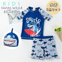 キッズ 男の子 ラッシュガード パンツ 帽子付き 3点セット 夏 海 プール ファスナー セットアップ ジップアップ ショートパンツ