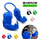 ハロウ 誕生日パーティー 吊り腕 ペットの小道具 面白い 創造的な巨大な腕 猫のための強い腕 おもちゃ 筋肉 猫 コスプレ ペット