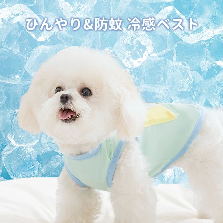 サンプル画像2