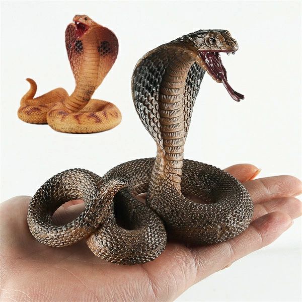 アニマ おもちゃ 飾り 学習用 理科 生物の研究 生物学 ダミー ジョーク フィギュア 生物 へび どっきり..