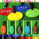 ゴルフネームプレート・キャディバッグ用ネームタグ楕円名札【全12色から選べます】[ゴルフバッグ/バレンタイン/送別品/卒業/ギフト/プレゼント/刻印/名入れ/ス...