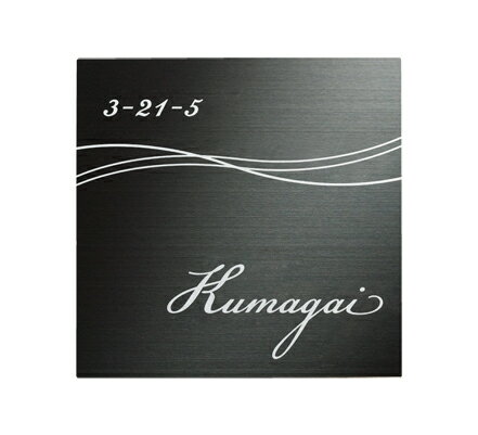 ステンレス表札《ステンレスブラックHL（シルバー）》F-SB-511【送料無料】