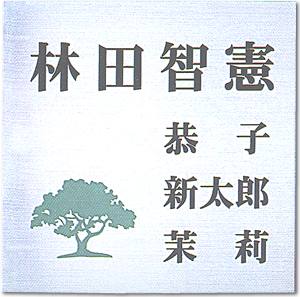 【送料無料】ステンレス表札（戸建・マンション両用タイプの表札）SU−42