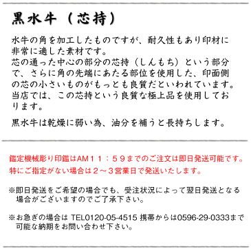 会社印鑑【社印】黒水牛21ミリ角・鑑定機械彫り特急仕上げ会社印鑑・ケース付き印鑑セット【即納出荷/即納商品】【送料無料】【smtb-k】[姓名判断に基づき作成/法人印鑑セット/会社設立印鑑セット/会社角印/社印/役職印/先生印]【あす楽対応_関東】