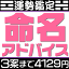 姓名判断による命名判断【候補数1案〜3案】赤ちゃんの命名・名付けアドバイス。候補の漢字名の吉凶診断..