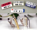 【ドーム】胸の名札 ネームプレート 長方形♪本体色・ベース色・文字色変更可能! 会社用・お店用の胸名札 取付はピン・穴が開かないクリップ両用可能【ネコポス発送可...