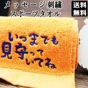 敬老の日 プレゼント ギフト 孫 タオル デイサービス 孫から 敬老 会 景品 敬老 誕生日 ギフトセット プレゼント タオル 気持ちを伝える マフラー タオル