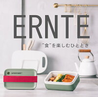 加熱式弁当箱 一人用 保温弁当箱 電気ランチボックス ポータブル弁当箱 フードウォーマー 低温保温 携帯用 便利 健康 安全 水必要なし 75℃定温保温 ミニ ひとり暮らし用電気 加熱 電気保温弁当箱 小型 丸洗い おしゃれ
