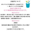 rainbio:10000003のサンプル画像2