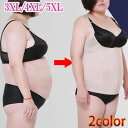 補正下着 ウエストニッパー 産後 骨盤 歪み 美尻 くびれ ウエスト 大きいサイズ 3XL 4XL 5XL 送料無料 メール便(4)