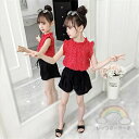 韓国子供服 セットアップ 女の子 夏服 シフォンシャツ+ショーツ ノースリーブシャツ 黒のショーツ デイリー コーデ 子ども服 キッズ 上下セット 服 普段着 通園 通学 110cm 120cm 130cm 140cm 150cm 160cm