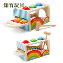 おもちゃ 一歳 誕生日 プレゼント ランキング 1歳 誕生日プレゼント 知育玩具 木のおもちゃ 1歳児 赤ちゃん 木製 音の出るおもちゃ ハンマー