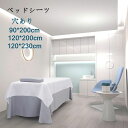 ベッドスカート ベッドシーツ 290*180cm(190*80cm以上ベッド適用)通気性 マッサージ 美容 エステ用 美容室 サロン用 マッサージ用 カバーシート ホテル 美肌 SPA 呼吸穴付き シーツ シングル ピンク シャンパン グレー280*170cm(185*70cm以上ベッド適用)