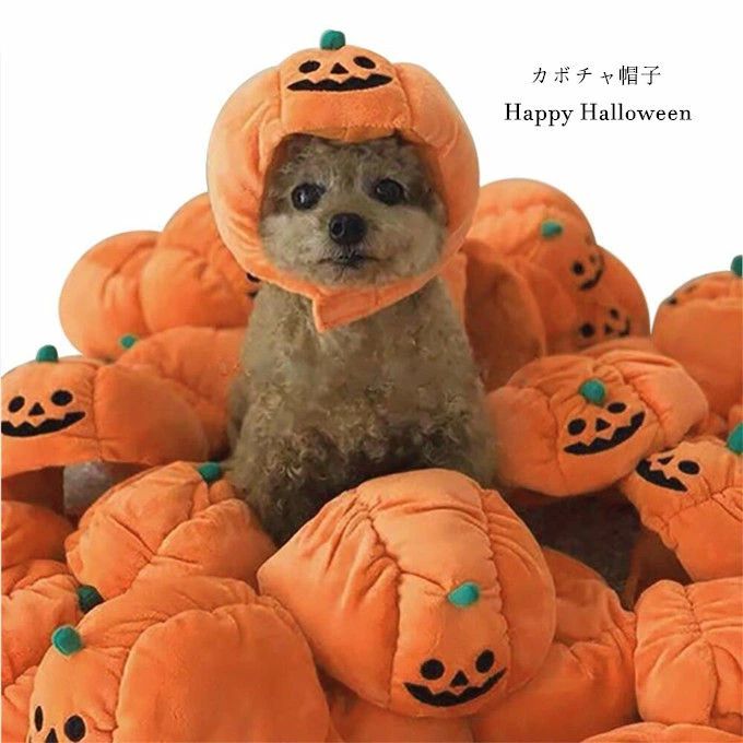 帽子 ハロウィン変身　犬用 猫ちゃん 帽子 猫用 帽子 クリスマス ペット用 帽子 カボチャ ペット用品 ..