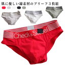 ブリーフ コットン 3枚組 紳士肌着 ローライズ パンツ 綿 下着 インナー ブリーフパンツ ジュニア ショーツ 男性 3枚組 下着 抗菌 防臭 アンダーウェア スポーツ