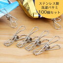 洗濯バサミ ピンチ ステンレス製 100個セット ピンチクリップ 錆びにくい 劣化しづらい 便利 多様 丈夫 頑丈 壊れにくい 洗濯用品 洗濯物ばさみ 挟む Y字 シンプル タオル 下着 スカート ズボン