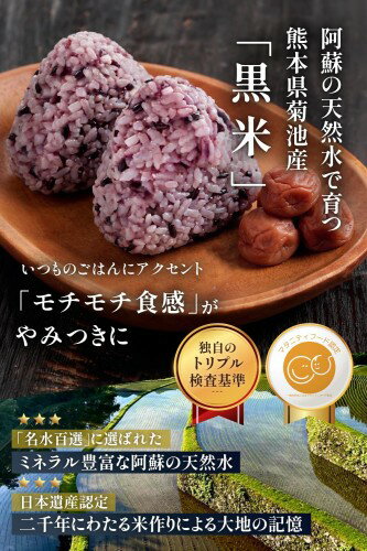 サンプル画像2
