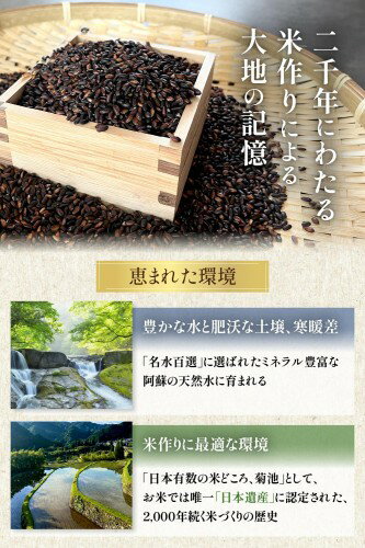 サンプル画像3