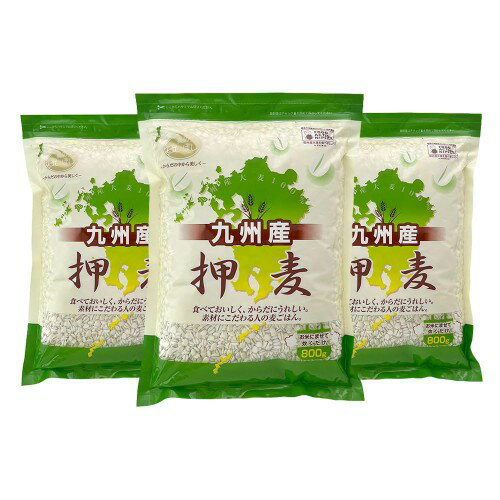石橋工業 九州産押麦 800g×3個