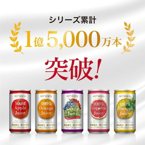 サンプル画像2