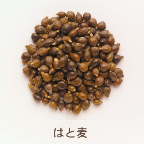 伝承の健康茶 伊藤園 国産はと麦茶 ティーバッグ 4.0g×30袋 rainbow-arch-10118655 レインボーアーチ サンプル画像3