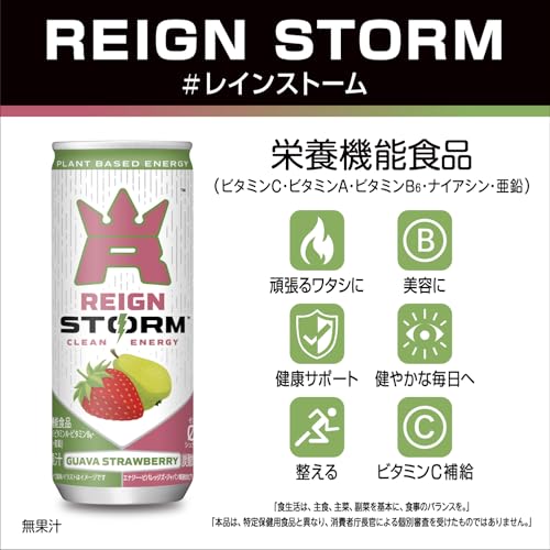 レインストーム グァバストロベリー 250ml×30本[ウェルネスエナジー] rainbow-arch-10119445 レインボーアーチ サンプル画像3