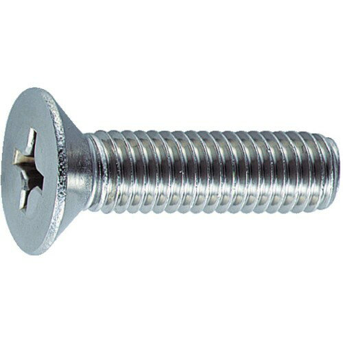 Rakuten - TRUSCO(トラスコ) 皿頭小ネジ ステンレス 全ネジ M8×40 11本入 B06-0840