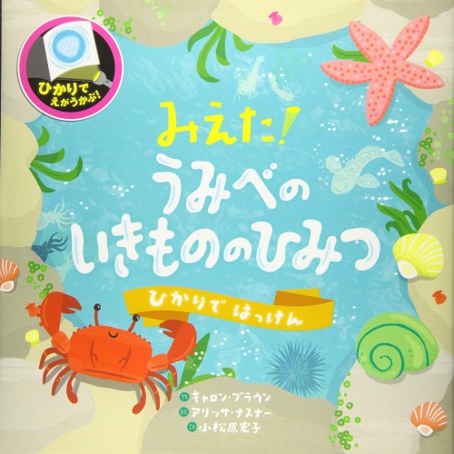 みえた!うみべのいきもののひみつ (ひかりではっけん)