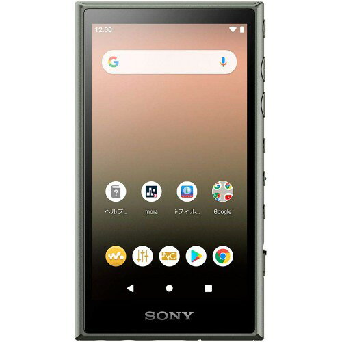 ソニー ウォークマン 16GB Aシリーズ NW-A105HN : ハイレゾ対応 / MP3プレーヤー /...