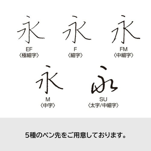 PILOT 万年筆 キャップレス 金ペン ファインミディアム FM(中細字) ブラックマイカ...