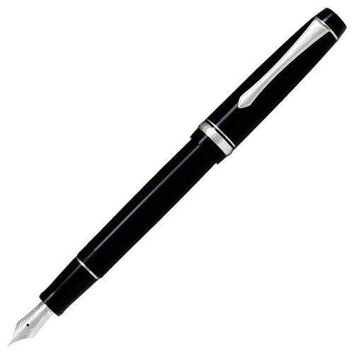 PILOT 万年筆 カスタムヘリテイジ91 F ファイン(細字) ブラック 黒 FKVHN12SRBF ペン先14K パイロット