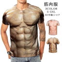 マッチョ 偽筋肉 レイヤード風 3D 半袖 コスプレ tシャツ おもしろ お祭り 新年会 忘年会 宴会 偽腹筋 半袖tシャツ メンズ Tシャツ 仮装 コスプレ ...