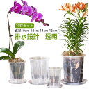 観葉植物の植え替え 12cm スリット鉢 根腐れ防止 16cm 直径10cm 植木鉢 胡蝶蘭専用 胡蝶蘭の植え替え 受皿付き 10鉢セット スリット 鉢 植え替え 14cm 根が見える鉢 クリア 観葉植物の鉢 プラスチック 透明