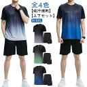 スポーツ セットアップ 半袖 Tシャツ トレーニングウェア ハーフパンツ メンズ ジャージ 吸汗速乾 短パン 半袖Tシャツ ドライ スポーツウェア 上下セット ランニングウェア おしゃれ 通気性 軽量 上下セット