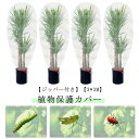 植物保護袋 防虫ネット 3*3M 鳥よけ 野菜栽培 園芸用ネット 網 ジッパー付き みかん 植物保護カバー 防鳥ネット ベランダ DIY 果樹園 ファスナー付き 農業 菜園プランター用 屋外 園芸用品 植物保護袋 ネット 通気性 鉢植え用
