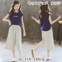 セットアップ キッズ 女の子 半袖 ショートパンツ キッズ ファッション 夏 夏服 Tシャツ 普段着 ゆったり カットソー ショートパンツ おしゃれ 可愛い 女...