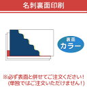 名刺印刷 裏面印刷オプション 裏面カラー 【必ず表面と併せてご注文ください！】