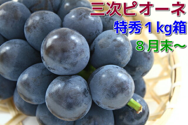 旬の盛り【無加温ハウス栽培】【三次ピオーネ】広島ぶどうの逸品特秀品1kg箱(2房入り)高級ブドウ『黒い真珠』8月末〜9月上旬より順次発送【旬の果物 くだもの】同梱不可・日時指定不可贈り物♪自家用!【ピオーネ 取り寄せ】