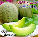 旬の盛り6月中旬ごろより発送予定島根アムスメロン大玉2個入箱【益田メロン】島根の旬のフルーツ【お試しにいいね!お土産にもいいかも】【メロン 取り寄せ】【アムスメ...